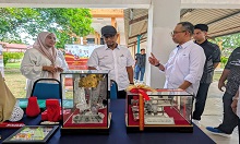 PROGRAM NEXTGEN : SKILL,KERJAYA & SUARA